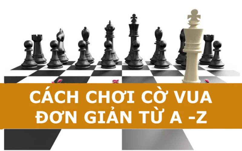 luat choi co vua co ban cach an quan chieu tuong va chieu het