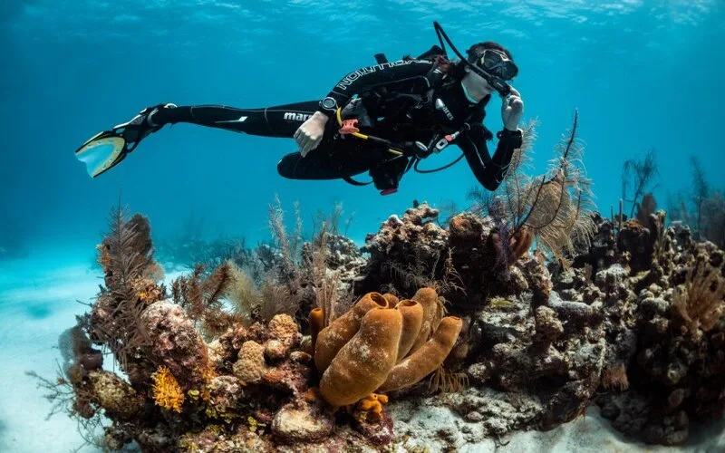 scuba diving la gi tim hieu bo mon lan bien thu vi